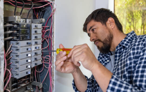 Best Electric Panel Repair  in Mountain City, GA